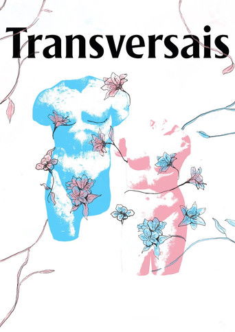 Transversais poster