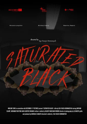 Movie poster for Saturated Black