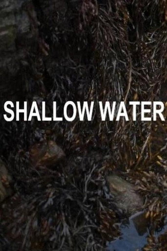 Movie poster for Shallow Water