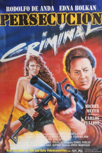 Movie poster for Persecución criminal (1987)