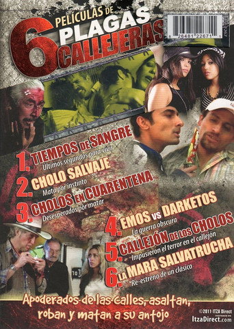 Movie poster for Cholos en cuarentena (2011)