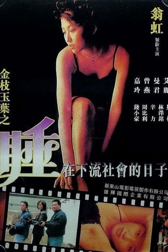 Undercover Girls poster