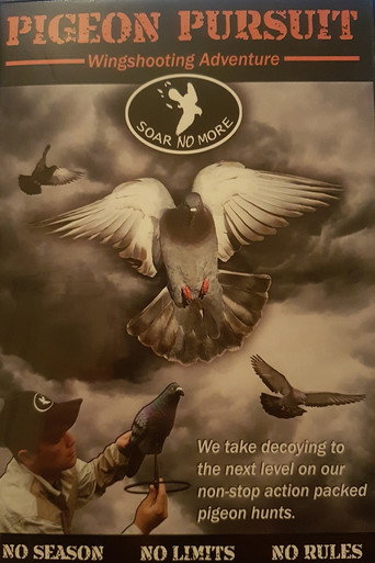 Movie poster for Pigeon Pursuit (2010)
