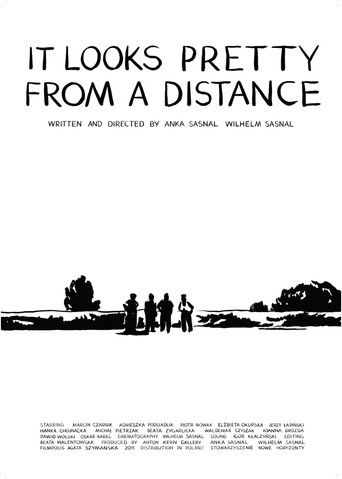 It Looks Pretty from a Distance poster