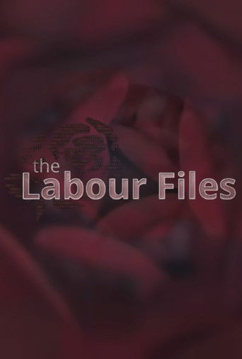 The Labour Files poster
