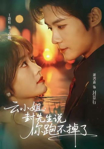 云小姐，封先生说你跑不掉了 poster