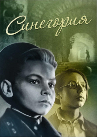 Movie poster for Sinegoriya (1946)
