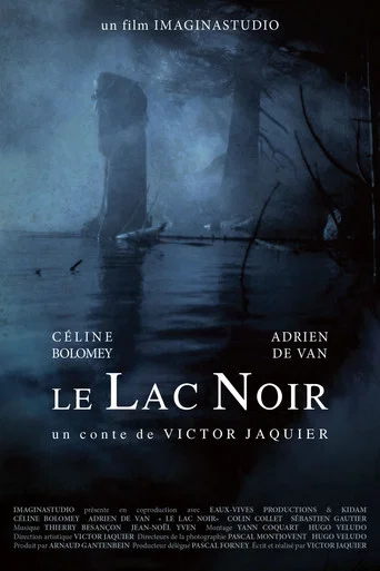 Movie poster for Le Lac Noir (2011)
