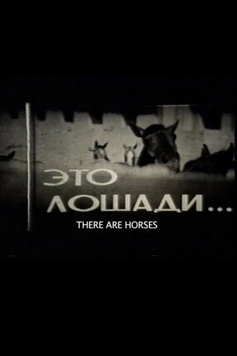 Movie poster for There Are Horses (1965)