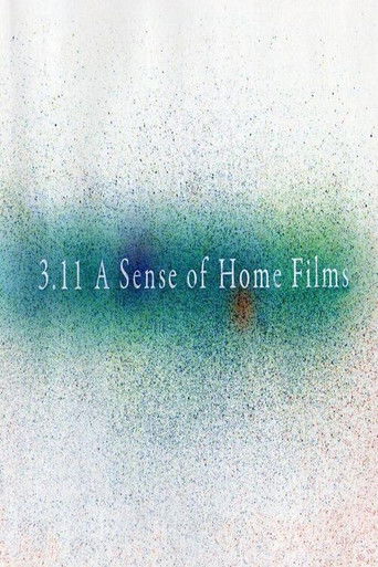3.11 A Sense of Home Films poster
