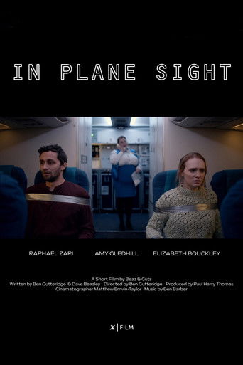 In Plane Sight poster