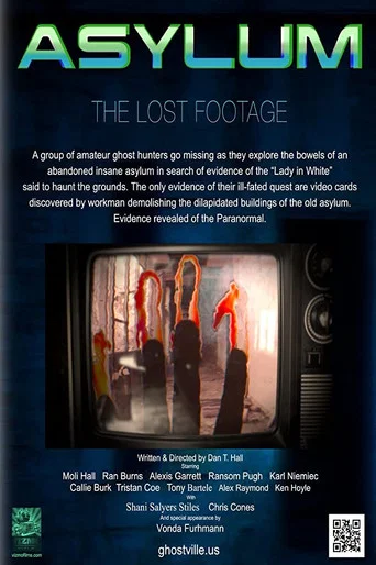 Movie poster for Asylum: the Lost Footage (2013)