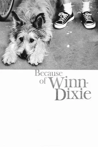 Movie poster for Because of Winn-Dixie (2005)