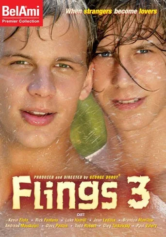 Movie poster for Flings 3 (2007)