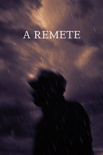 Movie poster for The Hermit