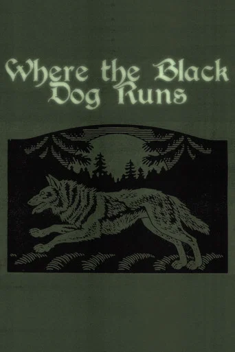 Movie poster for Where the Black Dog Runs (2026)