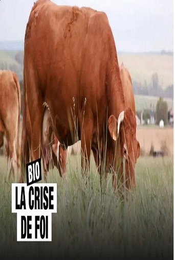 Movie poster for Bio, la crise de foi (2024)
