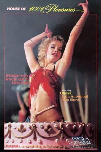 Movie poster for House of 1001 Pleasures (1984)