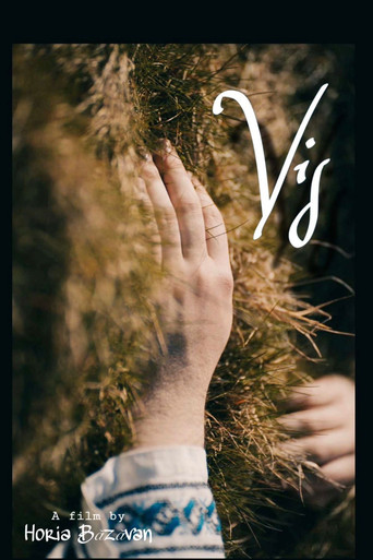 Movie poster for VIS