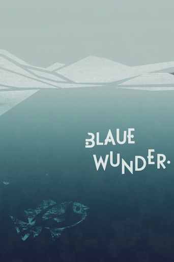 A Thousand Questions and One Miracle poster