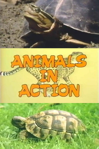Movie poster for The Turtle Family (1988)