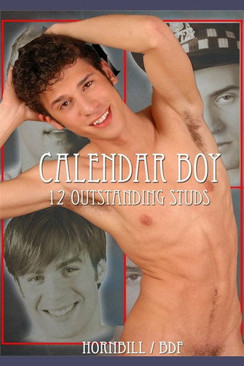 Movie poster for Calendar Boy (2010)