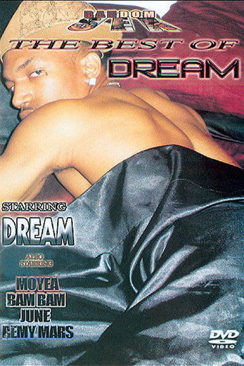 Movie poster for The Best of Dream (2008)