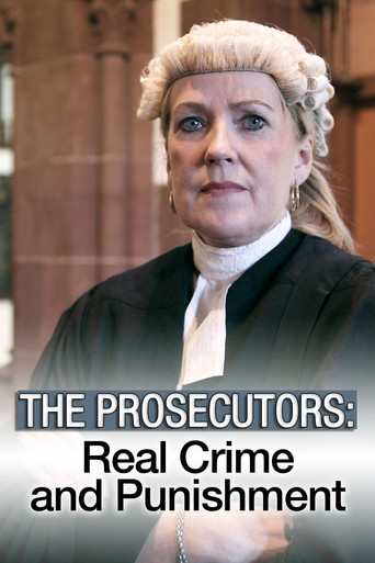 Series poster for The Prosecutors (2016)