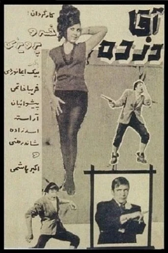 Movie poster for Mr. Thief (1966)