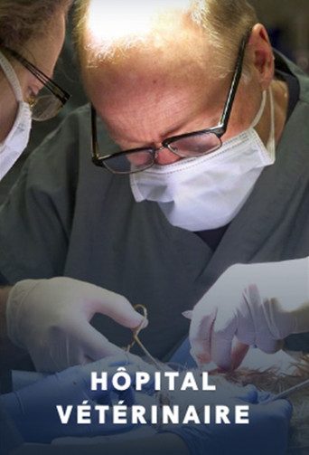 Hôpital vétérinaire poster