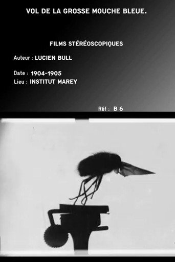 Movie poster for Flight of the Large Blue Fly (1905)