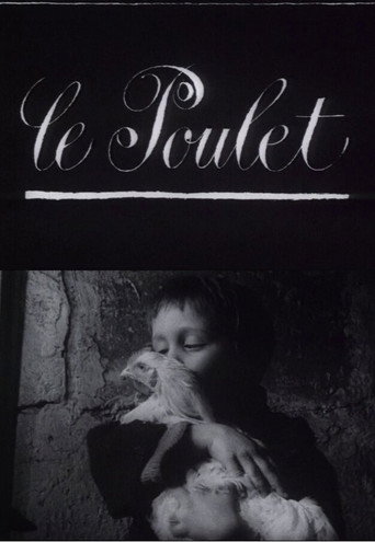 Movie poster for The Chicken (1965)