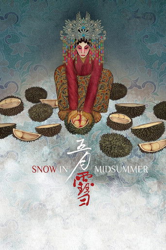 Snow in Midsummer poster