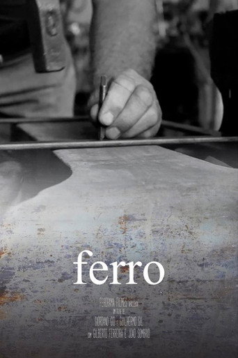 Movie poster for Ferro