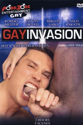 Movie poster for Gay Invasion 2 (2010)