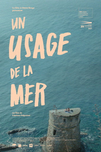 Movie poster for A Custom of the Sea (2021)