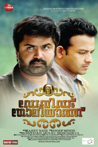 Movie poster for David and Goliath (2013)