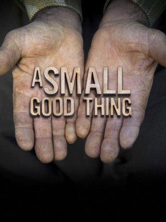 Movie poster for A Small Good Thing (2015)
