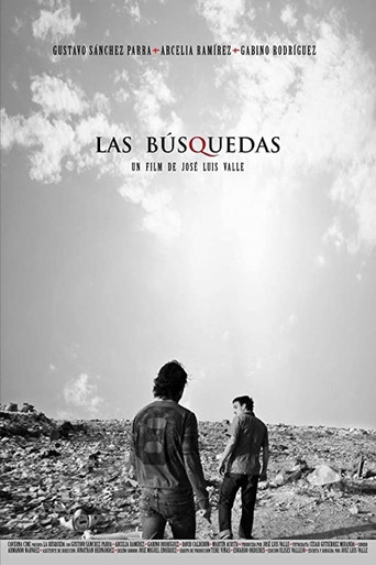 Movie poster for The Searches (2013)