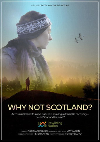Movie poster for Why Not Scotland?