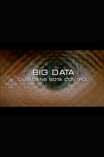 Movie poster for Big Data. Ciudadanos bajo control (2015)