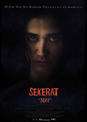 Movie poster for Sekerat "Son" (2016)