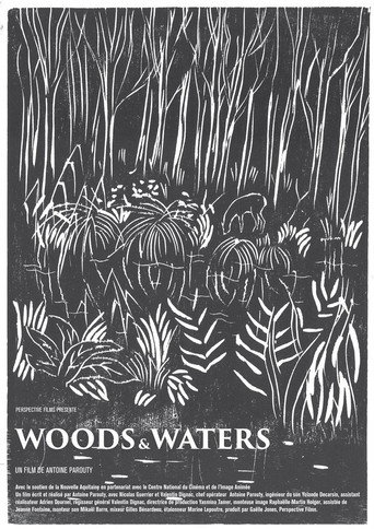 Movie poster for Woods and Waters (2020)