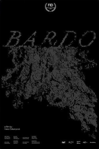 Movie poster for Bardo (2025)