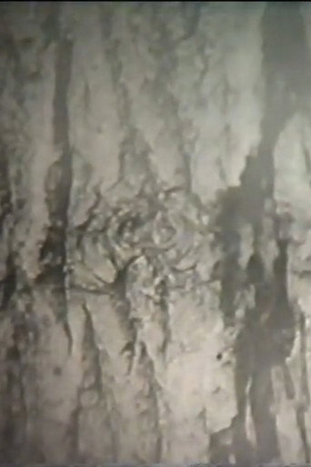 Movie poster for Ствол (1994)