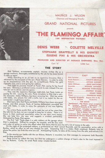 Movie poster for The Flamingo Affair (1948)