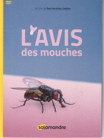 Movie poster for L'Avis Des Mouches (2017)