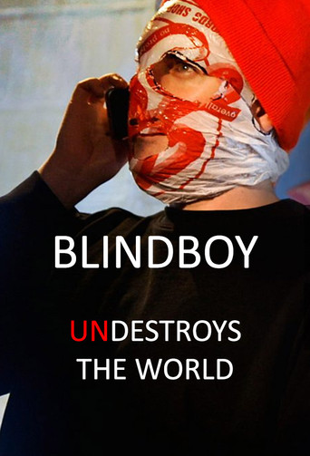 Series poster for Blindboy Undestroys the World (2019)