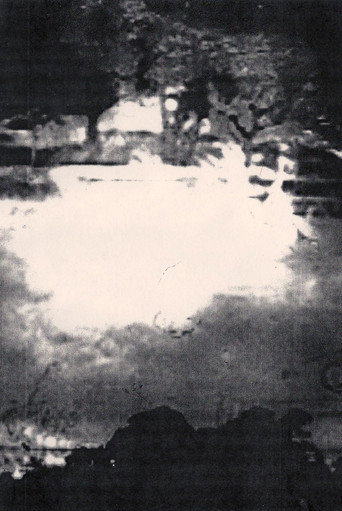 Movie poster for Coppicing (2009)