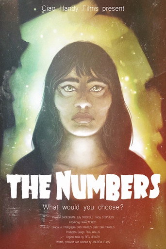 Movie poster for The Numbers